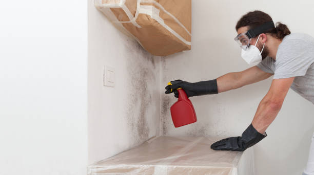 Professional Commercial Mold Remediation technician working in Franklin, NC