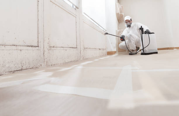 Trusted Commercial Mold Remediation service in Franklin, NC - WQB Mold Removal