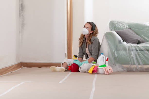 Reliable Commercial Mold Remediation contractor in Franklin, NC by WQB Mold Removal