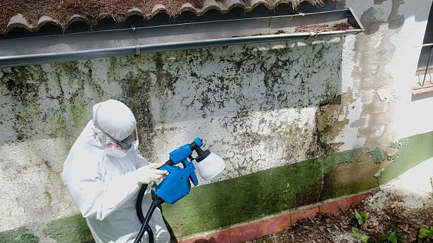 Top rated local Commercial Mold Remediation specialists in Franklin, NC